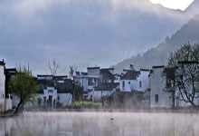 上海后花园住宅小区绿化周边环境详述